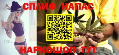 гидра Беслан