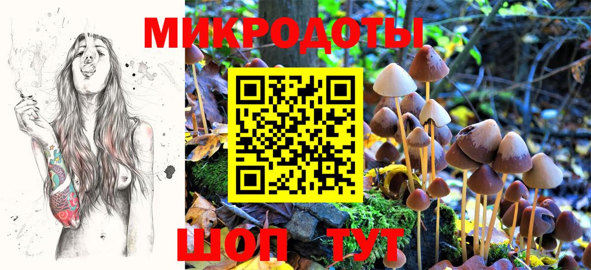Псилоцибиновые грибы GOLDEN TEACHER  Вход с VPN  Будённовск 