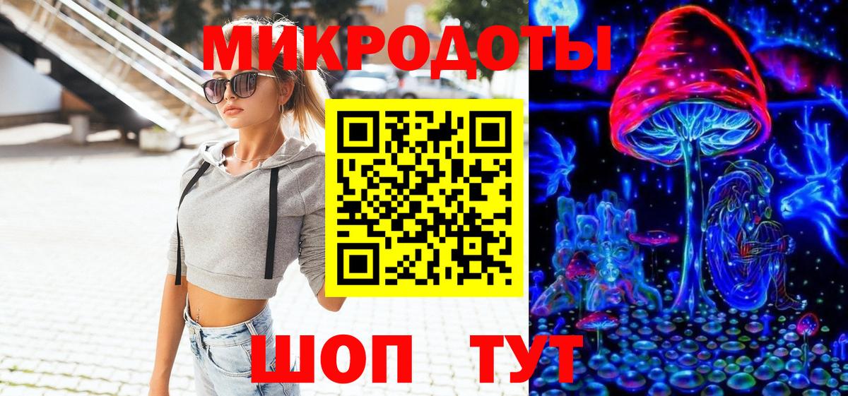 Псилоцибиновые грибы Psilocybe Будённовск